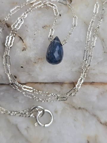 Teal Apatite Faceted Briolette Sterling Silver Necklace