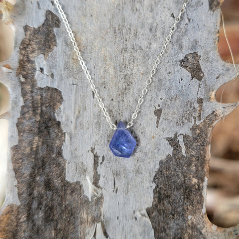 Tanzanite Portrait Cut Sterling Silver Necklace