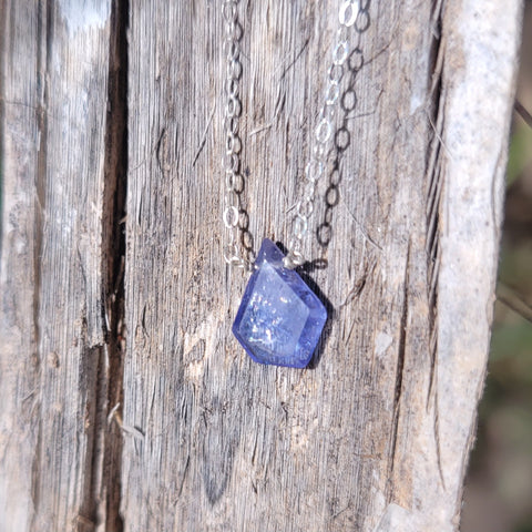 Tanzanite Portrait Cut Sterling Silver Necklace